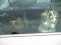 2009 Eagles Nest Mission Trip 006.jpg
